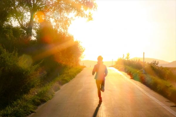 「3日日のWordPress設定」や「4日目のアクセス解析やASP登録」