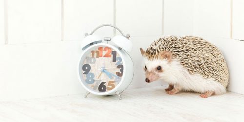 アフィリエイトでお小遣い稼ぎする時に必要な時間