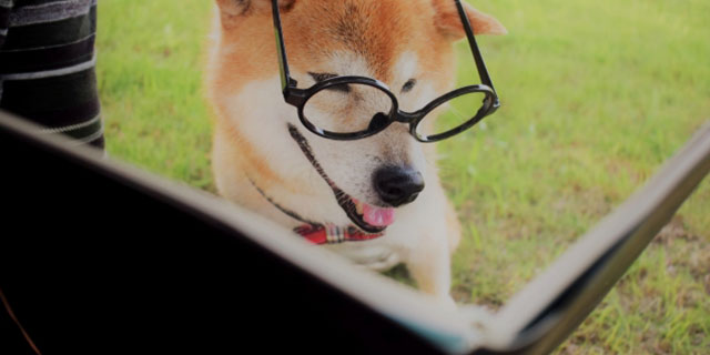 雑記ブログで経費にできる15の基本項目