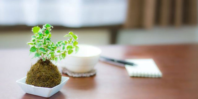 定期的に更新しているブログは稼げる