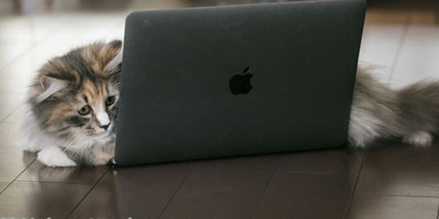 過去のアニメをイッキ見したい人におすすめ動画配信サイトを紹介する