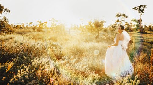 福井県で結婚式をディズニー色に！シンデレラのドレスが着れる式場