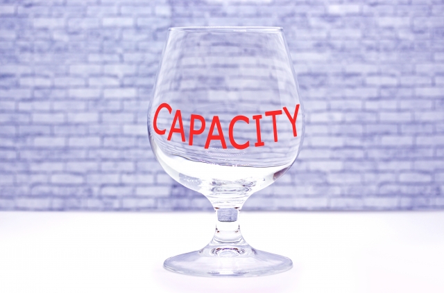 「WordPress Manager」の購入は人数限定特典になります。